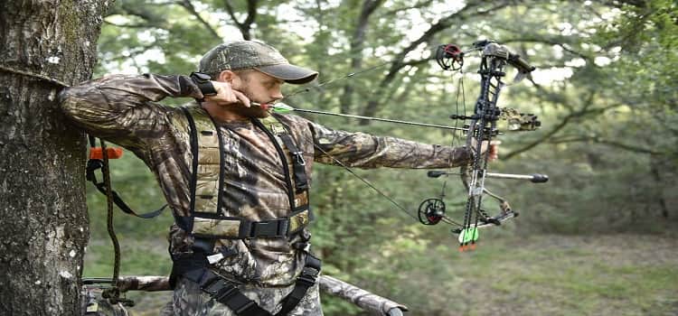 Bowhunting 101 Tips for Beginners