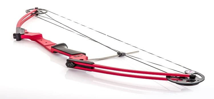 how to set up a compound bow