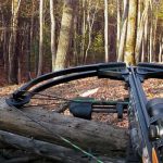 How to Shoot a Deer with a Crossbow - The Ultimate Guide