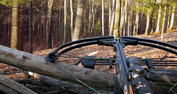 how to shoot a deer with a crossbow