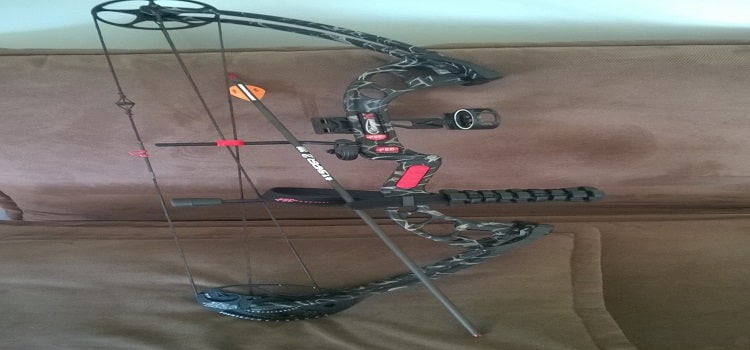 How to Store a Compound Bow